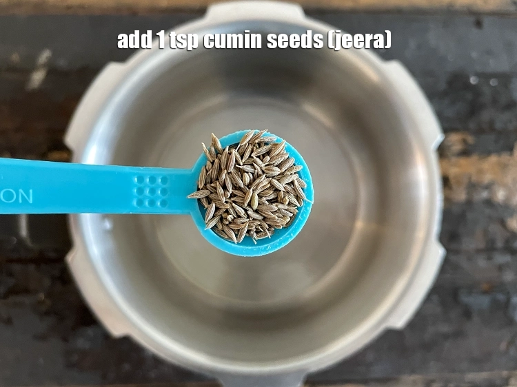 Step 23 – <html><head></head><body><p>Add&nbsp;1&nbsp;tsp&nbsp;<a href="glossary-cumin-seeds-jeera-zeera-381i">cumin seeds (jeera)</a>.</p></body></html>