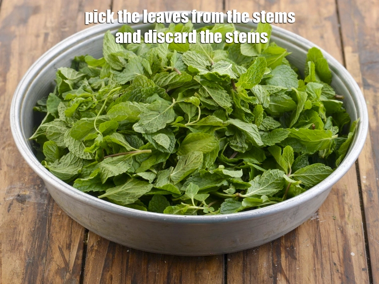 Step 10 – <p>Pick the leaves from the stems and discard the stems.</p>