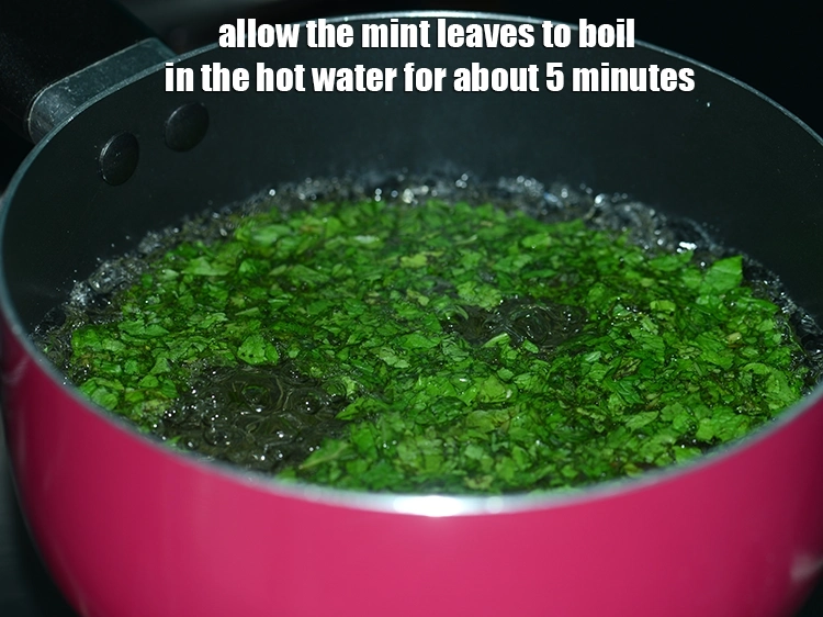 Step 16 – <p>Allow the mint leaves to boil in the hot water for about 5 minutes to …