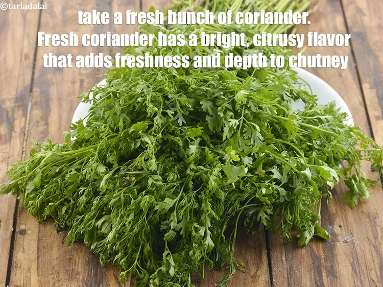 Step 5 – <p>Take one fresh bunch of <a href="https://www.tarladalal.com/glossary-coriander-dhania-kothmir-369i#ing_2365"><u>coriander (dhania)</u></a>.</p>