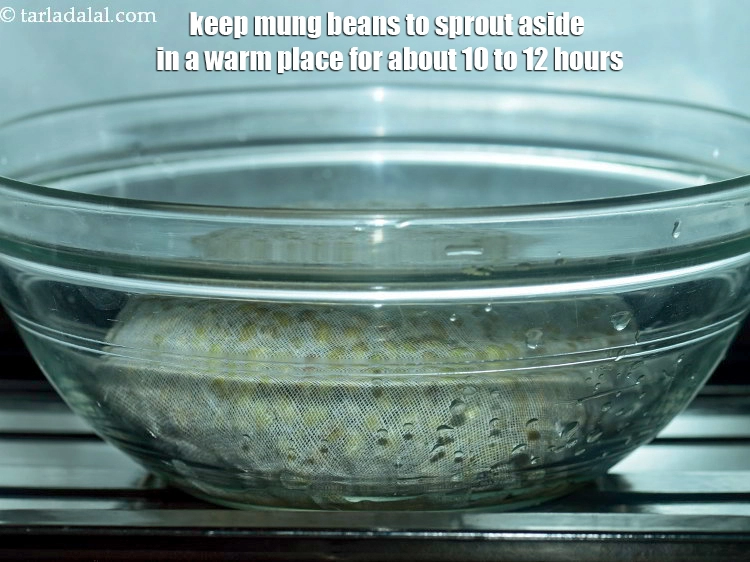 Step 20 – <p>Keep <strong>mung beans to sprout</strong> aside in a warm place for about 10 to 12 …