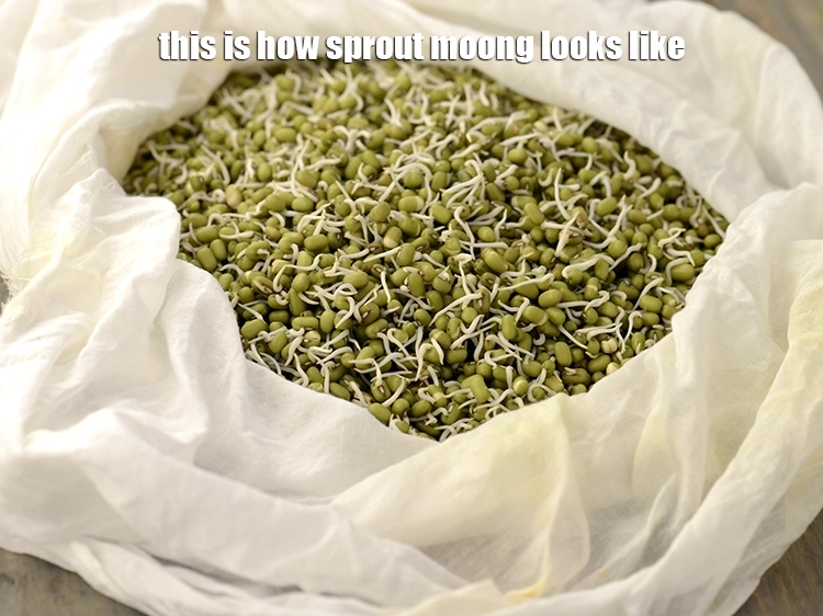 Step 21 – <p>This is how&nbsp;<strong>how to sprout moong | healthy mung beans sprouts |</strong> <strong>how to sprout …