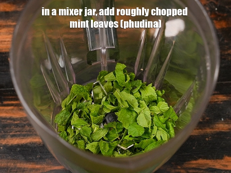 Step 9 – <p>In a mixer jar, add the <span style="background-color:rgb(255,255,255);color:rgb(0,0,0);">1/2 cup roughly </span><a href="https://www.tarladalal.com/glossary-mint-leaves-pudina-phudina-521i#ing_2368"><u>chopped mint leaves (phudina)</u></a>. …