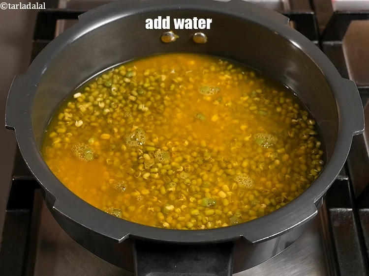 Step 6 – <p>Add 2 cups of water.&nbsp;</p>