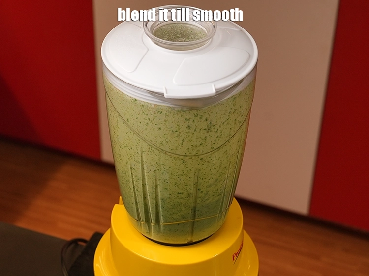 Step 15 – <p>Shut the lid and blend it till smooth. All the leaves will have blended properly …