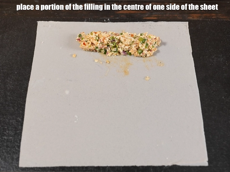 Step 19 – <p>Place a portion of the filling in the center of one side of the sheet.</p>