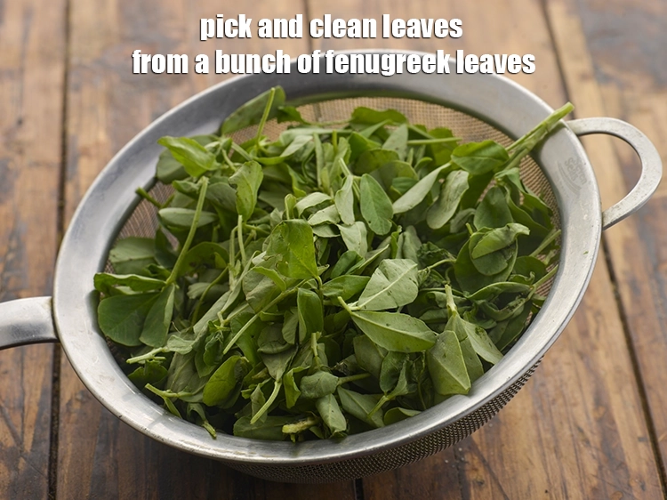 Step 2 – <p>To prepare the dough for&nbsp;<strong>Gujarati methi thepla | methi ka thepla | healthy methi thepla …