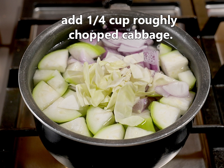 Step 9 – <html><head></head><body><p>Add&nbsp;1/4 cup&nbsp;roughly&nbsp;<a href="glossary-chopped-cabbage-781i">chopped cabbage</a>.</p></body></html>