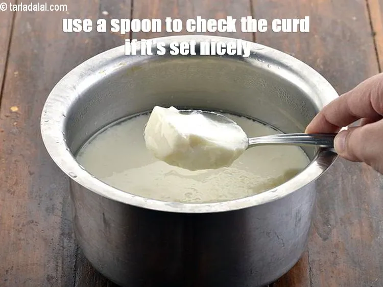 Step 15 – <p>Use a spoon to check the curd if it's set nicely. Your fresh and creamy&nbsp;<strong>low …