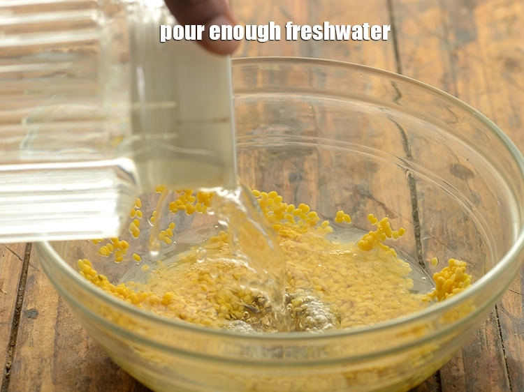 Step 15 – <p>Pour enough freshwater.</p>