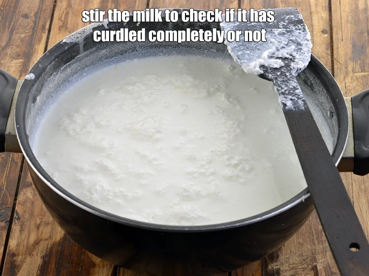 Step 7 – <p>Stir the milk to check if it has curdled completely or not.</p>