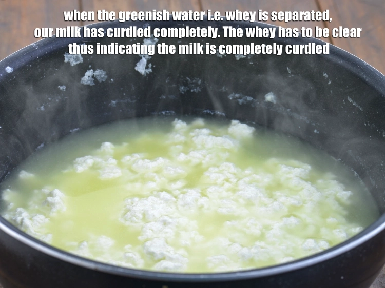 Step 16 – <p>When the greenish water i.e. whey is separated, our milk has curdled completely. The whey …