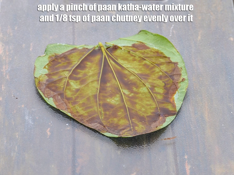 Step 4 – <p>Apply a pinch of <a href="https://www.tarladalal.com/glossary-Paan-Katha-2741i"><u>Paan katha</u></a>-water mixture and 1/8 tsp of paan chutney evenly …