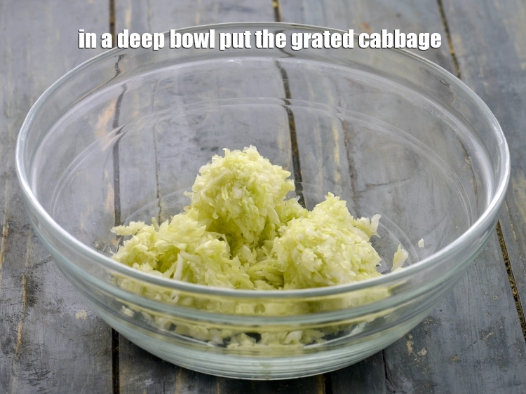 Step 3 – <p>In a deep bowl put the <span style="background-color:rgb(255,255,255);color:rgb(0,0,0);">1 cup </span><a href="https://www.tarladalal.com/glossary-cabbage-patta-gobi-kobi-248i#ing_2399"><u>grated cabbage</u></a>. Bottle gourd, spinach, …