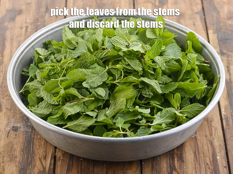 Step 2 – <p>Pick the leaves from the stems and discard the stems.</p>
