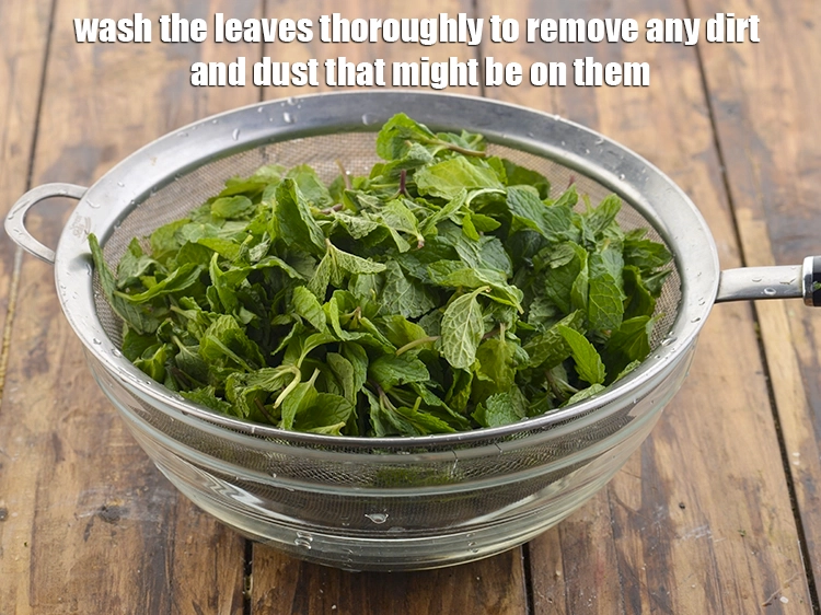 Step 3 – <p>Wash the leaves thoroughly to remove any dirt and dust that might be on them.</p>