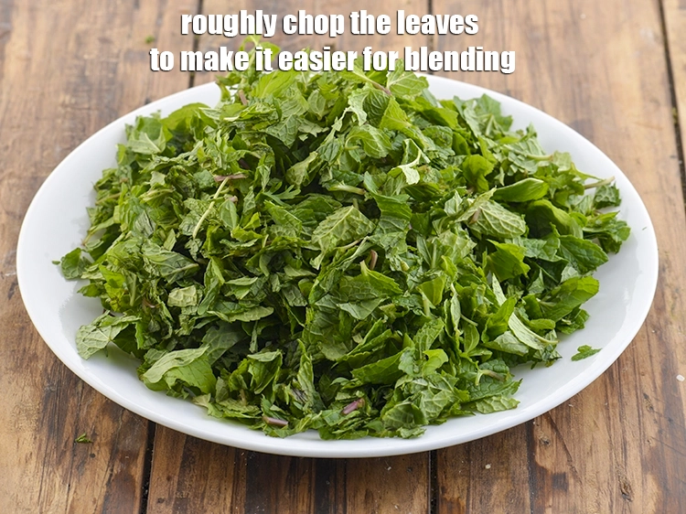 Step 4 – <p>Roughly chop the leaves to make it easier for blending. We will need around 2 …