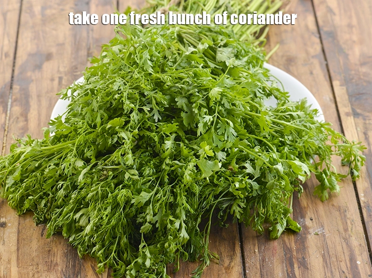 Step 5 – <p>Take one fresh bunch of <a href="https://www.tarladalal.com/glossary-coriander-dhania-kothmir-369i#ing_2365"><u>coriander (dhania)</u></a>.</p>