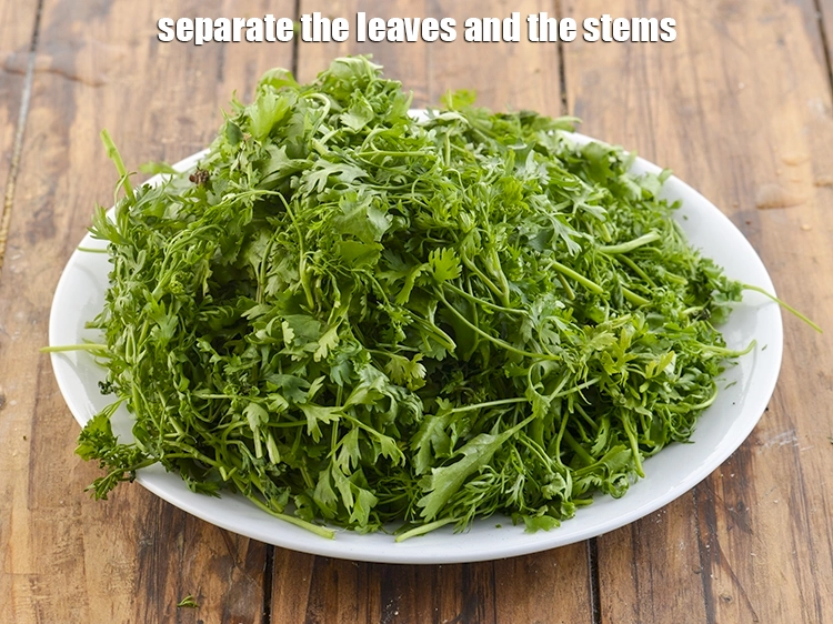 Step 6 – <p>Separate the leaves and the stems. We are only going to use the leaves and …