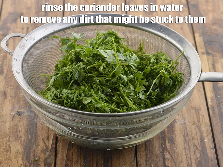 Step 7 – <p>Rinse the coriander leaves in water to remove any dirt that might be stuck to …