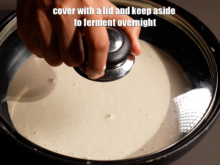 Step 23 – <p><span style="background-color:rgb(255,255,255);color:rgb(0,0,0);">Cover with a lid and keep aside to ferment overnight.</span></p>