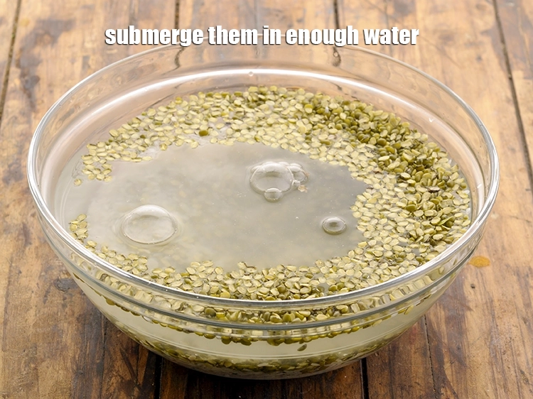 Step 9 – <p>submerge them in enough water.</p>