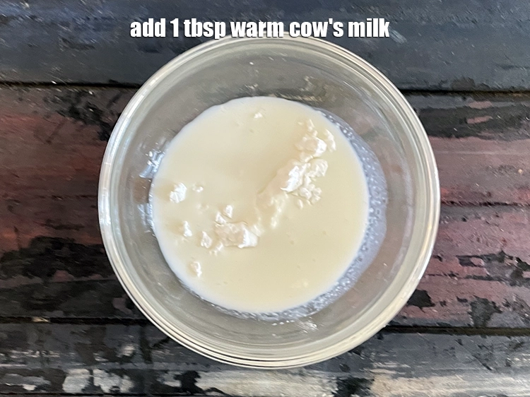 Step 2 – <p><span style="background-color:rgb(255,255,255);color:rgb(0,0,0);">Add&nbsp;1 tbsp warm </span><a href="https://www.tarladalal.com/glossary-cows-milk-2686i"><u>cow's milk</u></a><u>.</u></p>