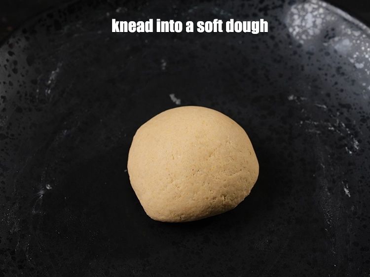 Step 6 – <p><span style="background-color:rgb(255,255,255);color:rgb(0,0,0);">Knead into a soft dough.</span></p>