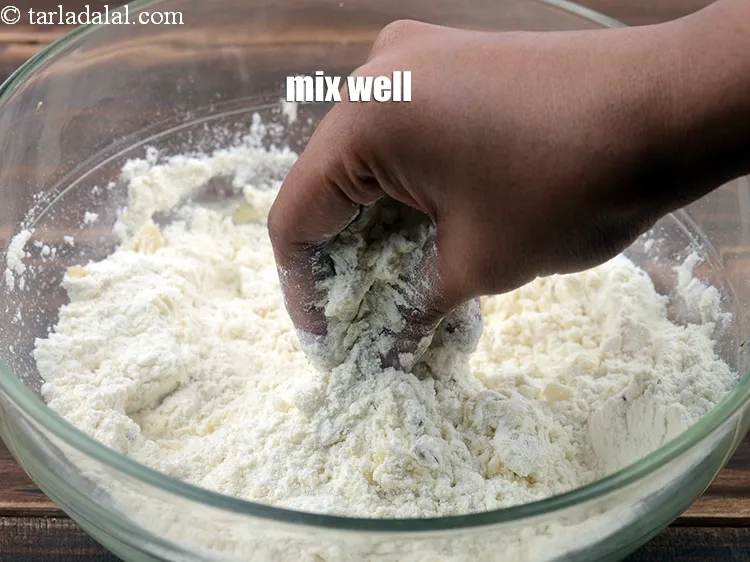 Step 5 – <p><span style="background-color:rgb(255,255,255);color:rgb(0,0,0);">Mix well.</span></p>