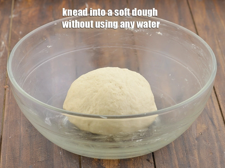 Step 20 – <p><span style="background-color:rgb(255,255,255);color:rgb(0,0,0);">knead into a soft dough without using any water.</span></p>