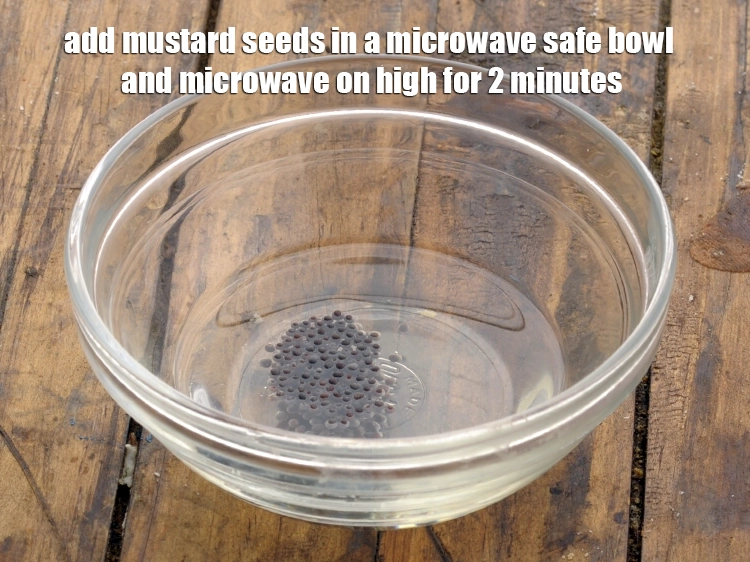 Step 6 – <p>Add <span style="background-color:rgb(255,255,255);color:rgb(0,0,0);">1 tsp </span><a href="https://www.tarladalal.com/glossary-mustard-seeds-sarson-rai-sarson-ke-beej-525i"><u>mustard seeds ( rai / sarson)</u></a><u>. </u><span style="background-color:rgb(255,255,255);color:rgb(0,0,0);">and microwave on …