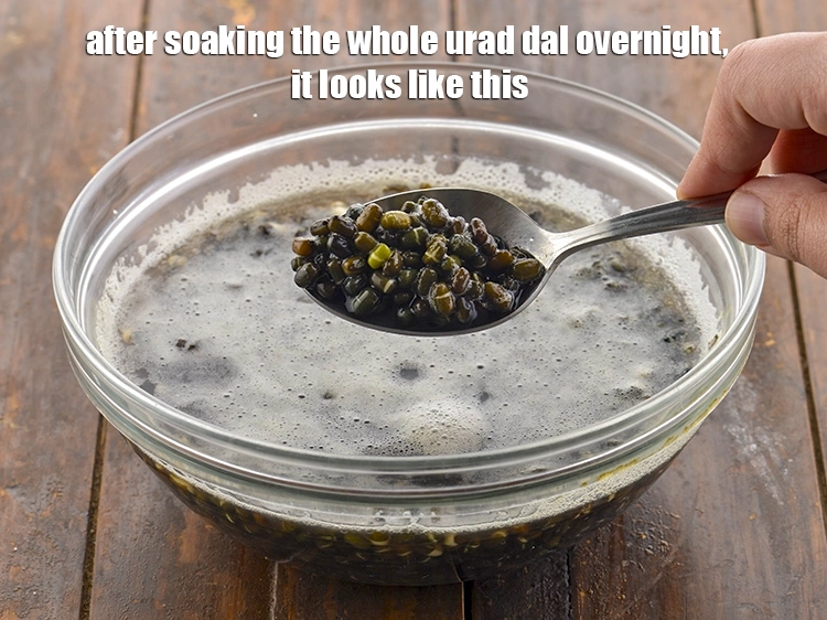 Step 5 – <p>After soaking the <a href="https://www.tarladalal.com/glossary-urad-whole-black-lentil-957i"><u>whole urad (whole black lentil)</u></a> overnight, it looks like this.</p>