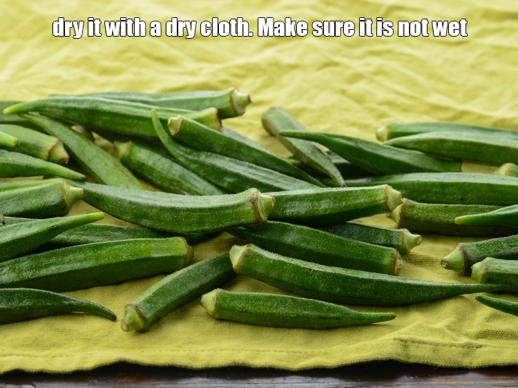 Step 5 – <p>Dry it with a dry cloth. Make sure it is not wet.&nbsp;</p>