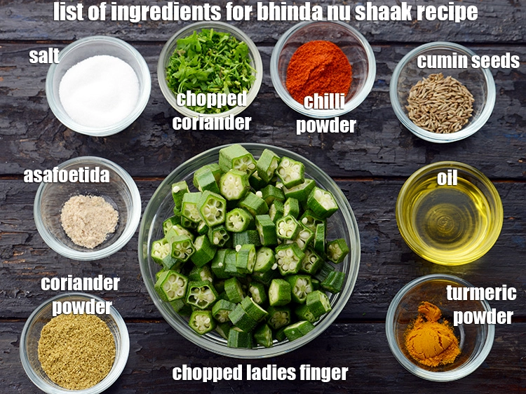 Step 2 – <p><i><u>See below image of list of ingredients for </u><strong><u>bhinda nu shaak recipe</u></strong><u>.</u></i></p>