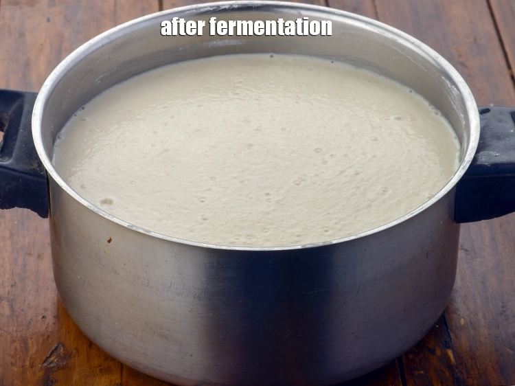 Step 16 – <p><span style="background-color:rgb(255,255,255);color:rgb(0,0,0);">This is how the <strong>batter</strong> looks after fermenting.</span></p>