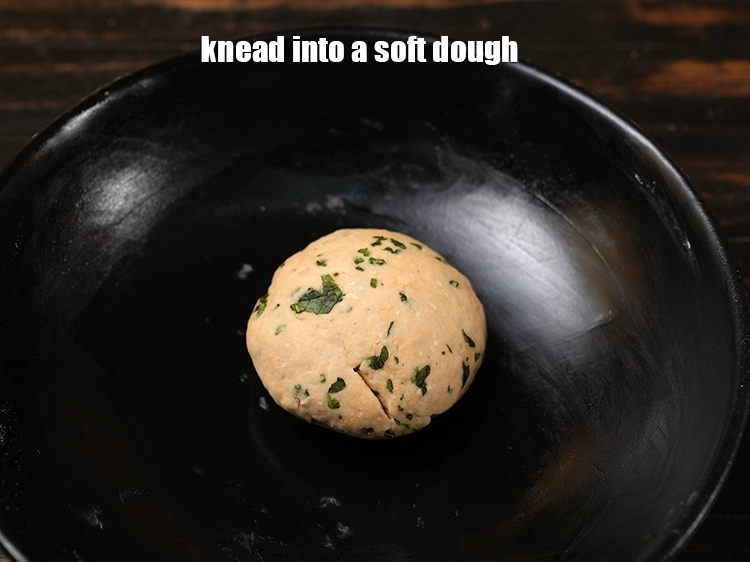 Step 14 – <p><span style="background-color:rgb(255,255,255);color:rgb(0,0,0);">knead into a <strong>soft dough</strong>.</span></p>