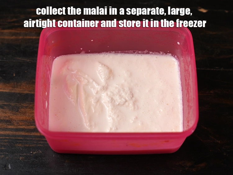 Step 8 – <p>Collect the <strong>malai</strong> in a separate, large, airtight container and store it in the freezer. …