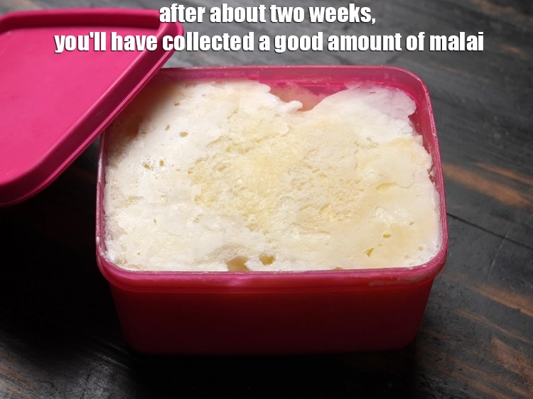 Step 9 – <p>After about two weeks, you'll have collected a good amount of <strong>malai</strong>, as seen here. …