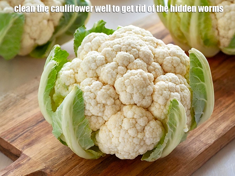 Step 2 – <p>Clean the <a href="https://www.tarladalal.com/glossary-cauliflower-phool-gobi-phool-gobhi-174i#">cauliflower</a> well to get rid of the hidden worms.</p>