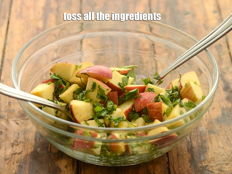 Step 26 – <p><span style="background-color:rgb(255,255,255);color:rgb(0,0,0);">Toss all the ingredients for </span><strong>apple pudina salad</strong><span style="background-color:rgb(255,255,255);color:rgb(0,0,0);"> very well using 2 big …