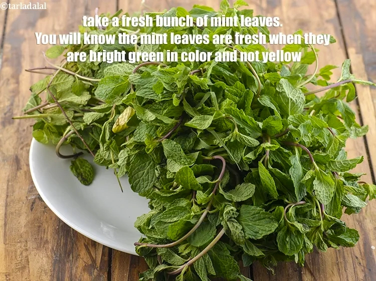 Step 16 – <p>Next to make <strong>healthy mint apple salad</strong>, we need <a href="https://www.tarladalal.com/glossary-mint-leaves-pudina-phudina-521i#ing_2368"><u>mint leaves (phudina)</u></a>. For that …