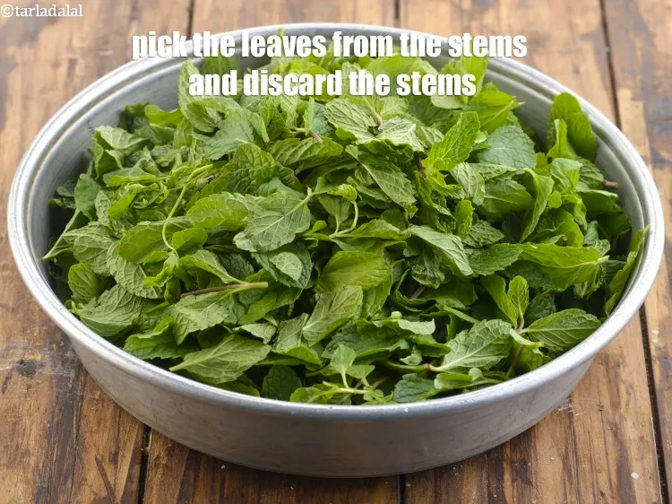 Step 17 – <p>Remove the leaves from the stem and discard the stems.</p>