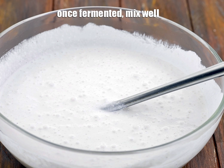 Step 9 – <p><span style="background-color:rgb(255,255,255);color:rgb(0,0,0);">Once fermented, mix well.</span></p>