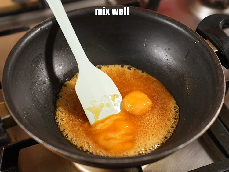 Step 10 – <p><span style="background-color:rgb(255,255,255);color:rgb(0,0,0);">Mix well.</span></p>