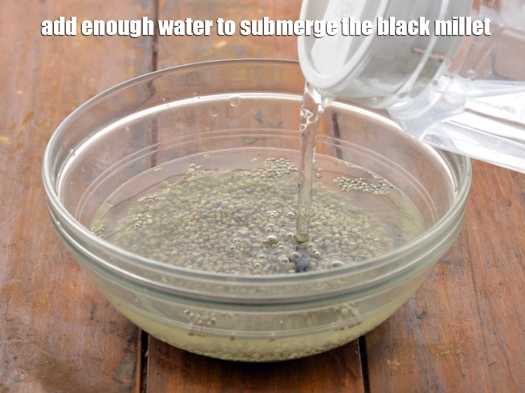 Step 3 – <p>Add enough <strong>water</strong> to submerge the <strong>black millet</strong>.</p>
