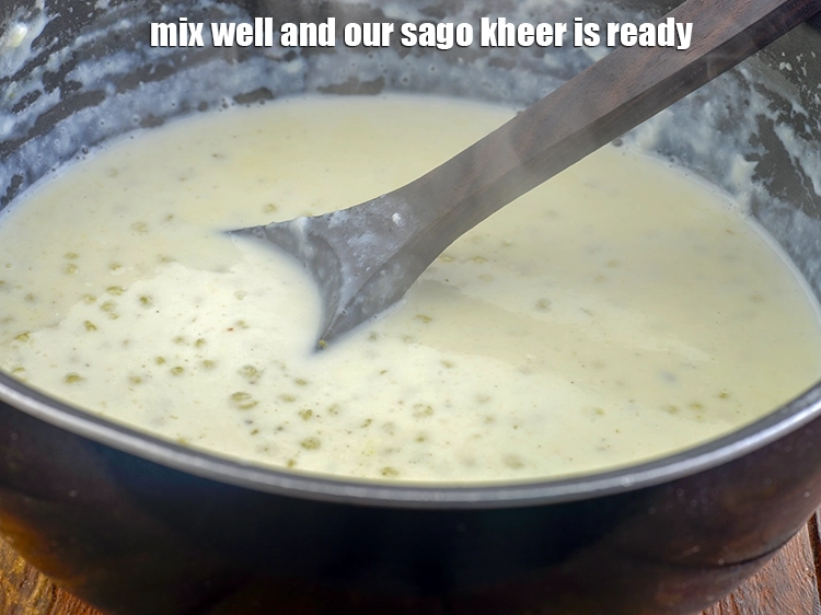Step 19 – <p><span style="background-color:rgb(255,255,255);color:rgb(0,0,0);">Mix well and our </span><strong>sago kheer </strong><span style="background-color:rgb(255,255,255);color:rgb(0,0,0);">is ready.</span></p>