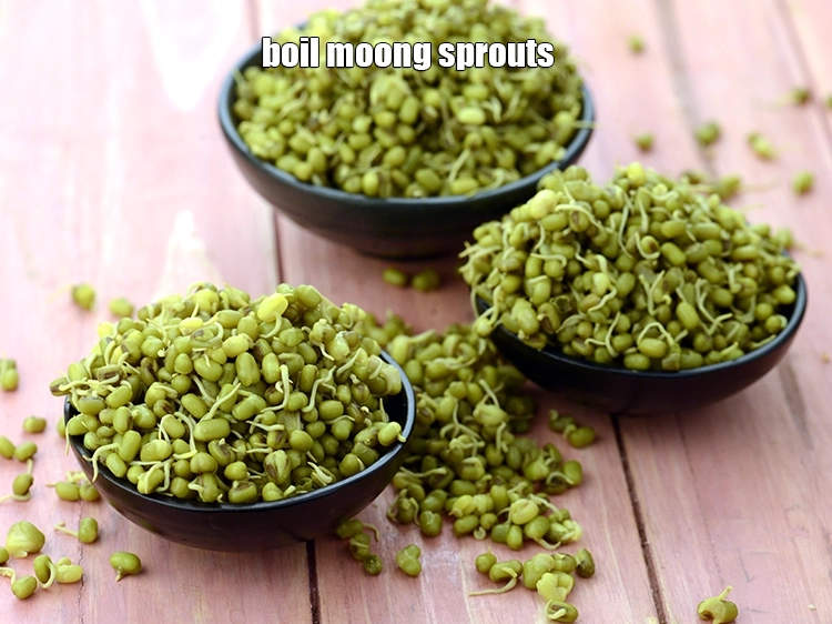 Step 26 – <p>If you wish you can <strong>boil moong sprouts</strong> in an open flame in a pot …