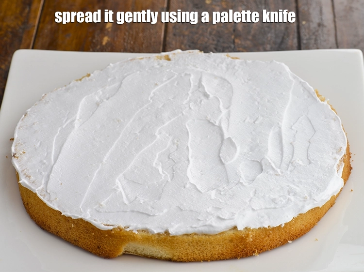 Step 9 – <p><span style="background-color:rgb(255,255,255);color:rgb(0,0,0);"><strong>Spread </strong>it gently using a palette knife.</span></p>