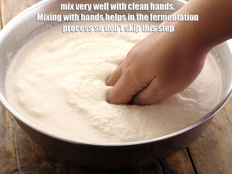 Step 43 – <p><span style="background-color:rgb(255,255,255);color:rgb(0,0,0);">Mix very well with clean hands. Mixing with hands helps in the fermentation process …