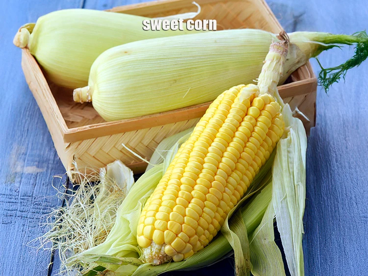 Step 1 – <p>To make the <strong>Sweet Corn and Asparagus Soup</strong>, <span style="background-color:rgb(255,255,255);color:rgb(0,0,0);">Take 2 <strong>sweet corn</strong>.</span></p>
